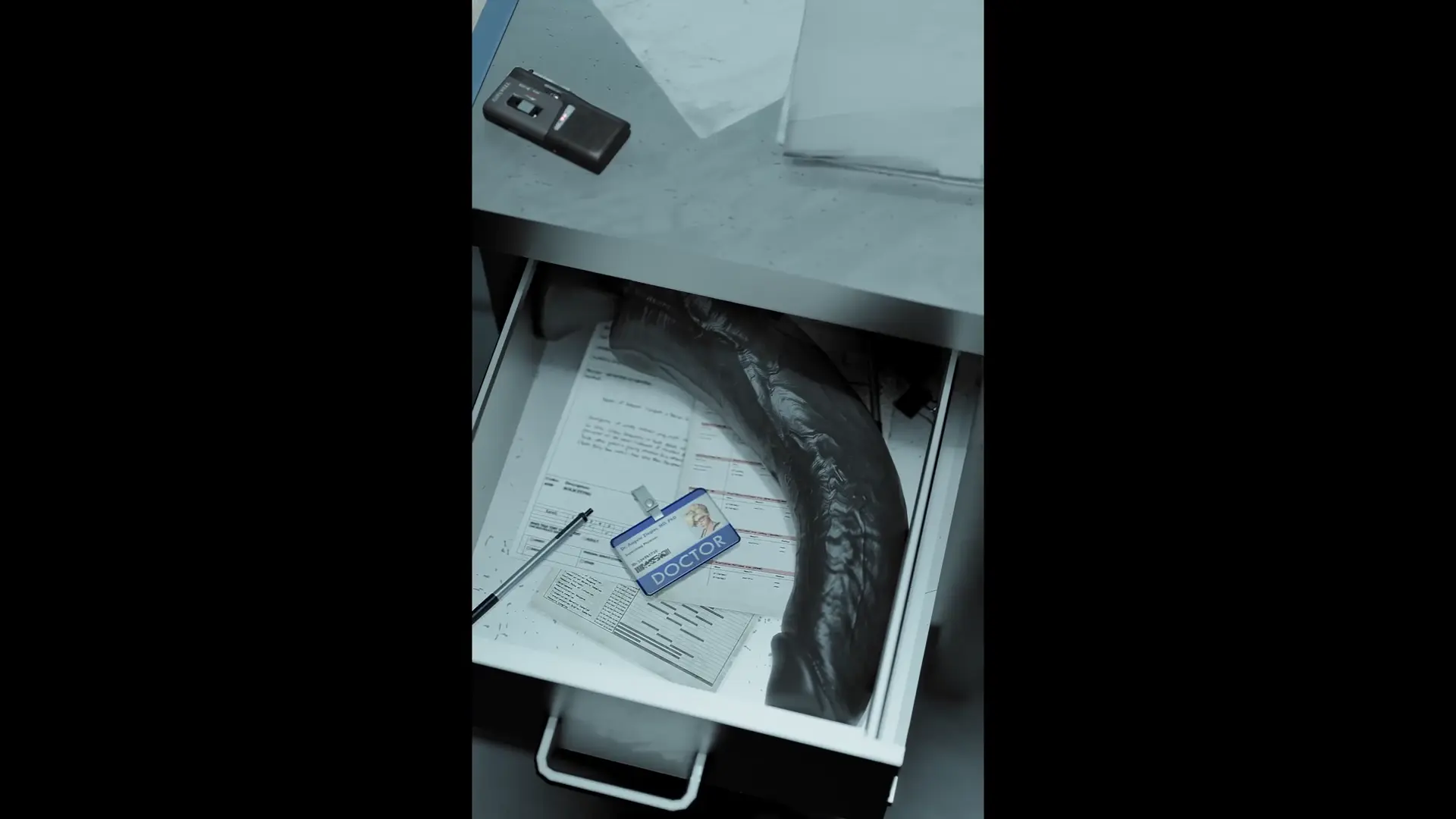 Huge Dildo